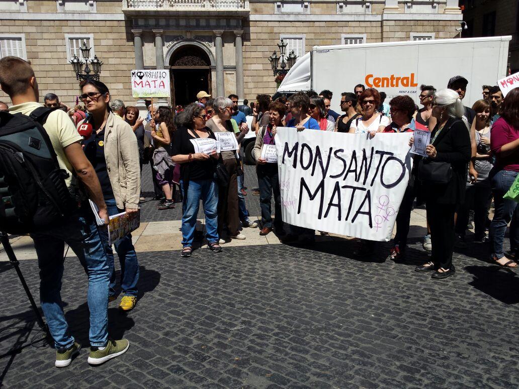 caladona's tweet photo. Per salut, x justícia social, x dret a decidir, x solidaritat amb les dones defensen la terra #MarchAgainstMosanto http://t.co/M7CVLrHFlG