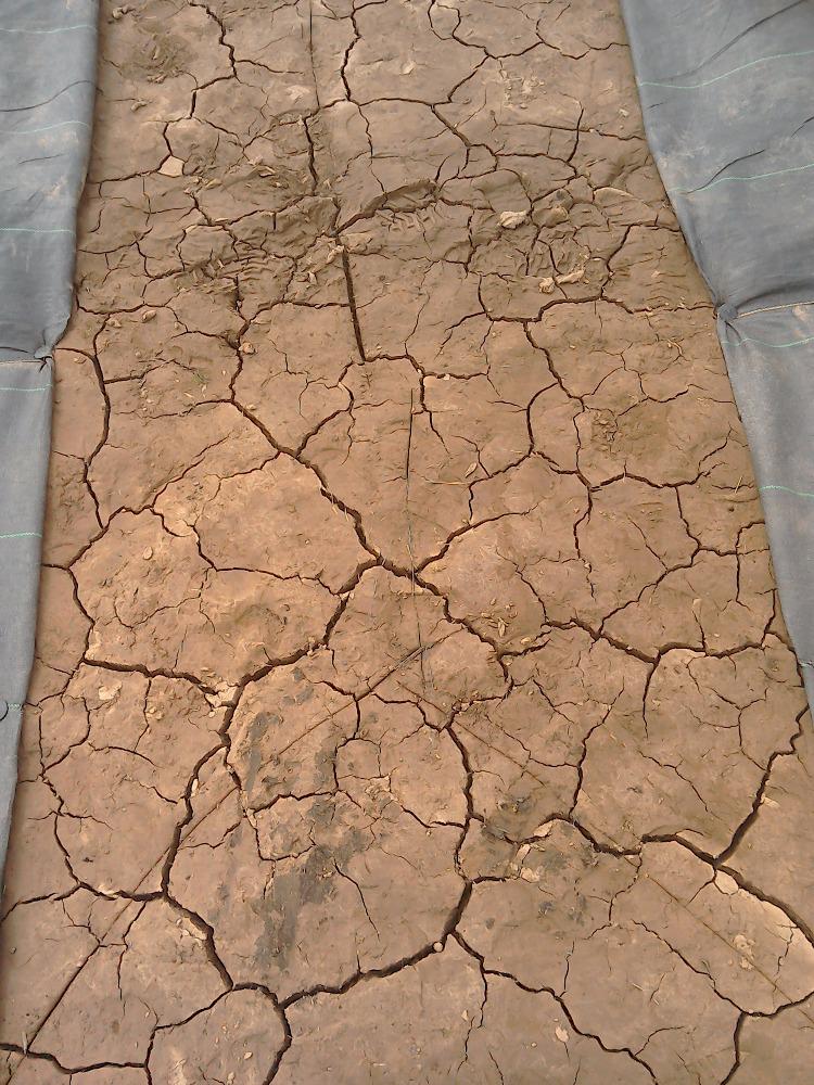 geese_acres's tweet photo. #greenhamreach #offgrid http://t.co/y4z3A5XDL7. Devon clay is drying out! Looks a bit like a dry African lake bed. http://t.co/GxNyGxDehG