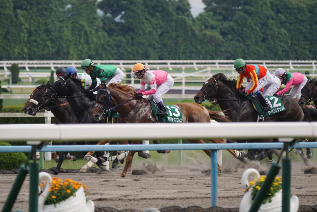 本日のお目当て Twitter Search Twitter