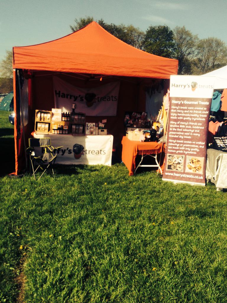 Harrystreat's tweet photo. Volks fling biggar 20 mins from Edinburgh lots of stalls and beer tent dogs welcome @dugsNpubs @EdinBlogger http://t.co/MMNG0yXC7w