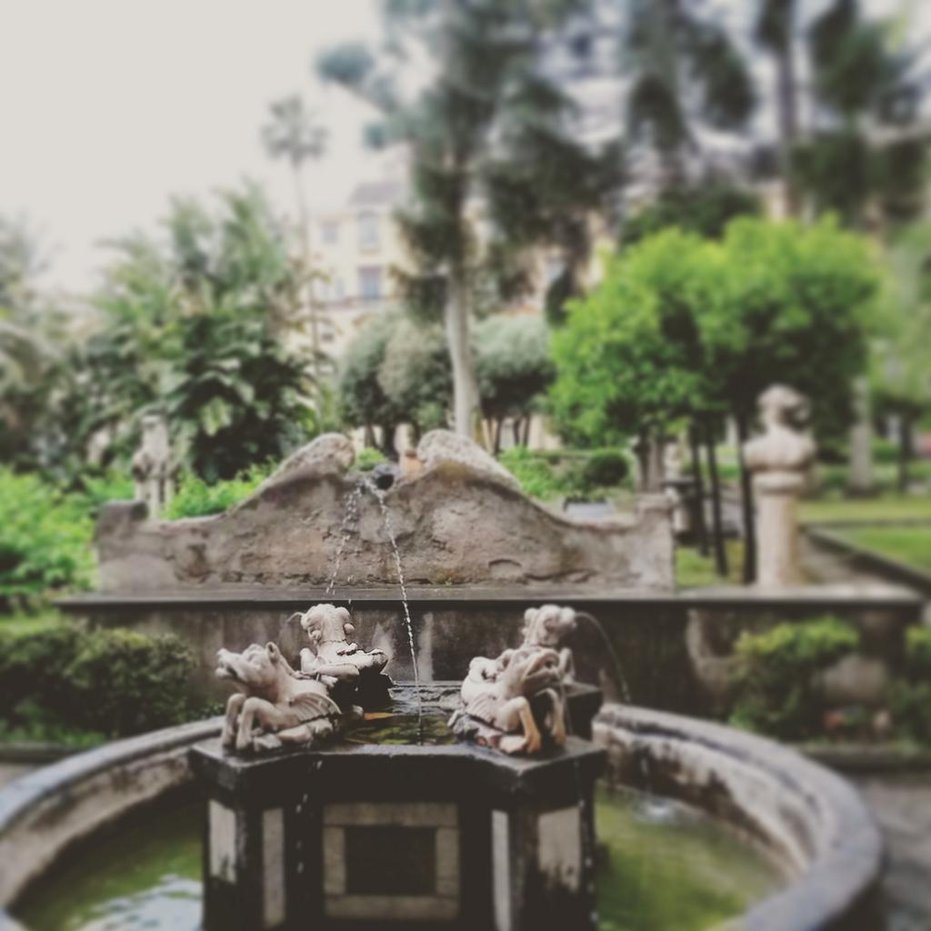 MassimoPianta's tweet photo. #faivolontariato #napoli #universitafedericoII #grandebellezza http://t.co/jy17UxpvA6