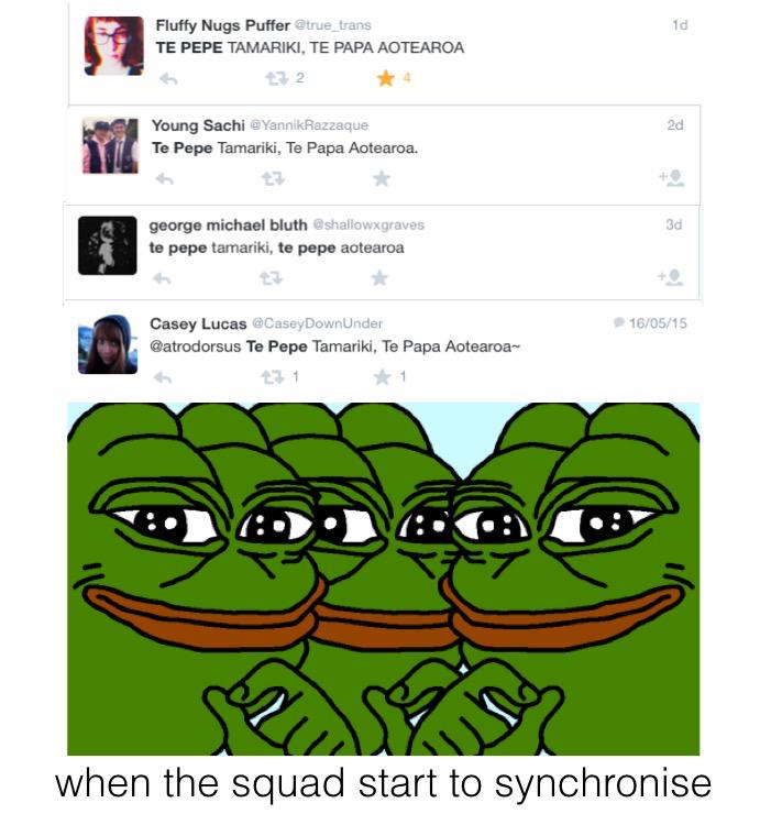 tepepeflag's tweet photo. @true_trans @YannikRazzaque @shallowxgraves @CaseyDownUnder the squad starts to synchronise #feelsgoodman #tepepeflag http://t.co/nW23G9q8Rr