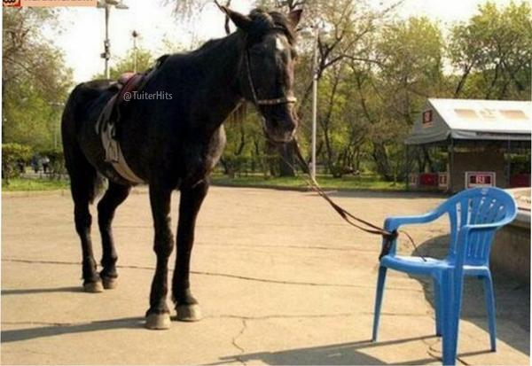 TuiterHits's tweet photo. En ocasiones las cadenas que nos impiden son más mentales que físicas. http://t.co/MytcusnrlS