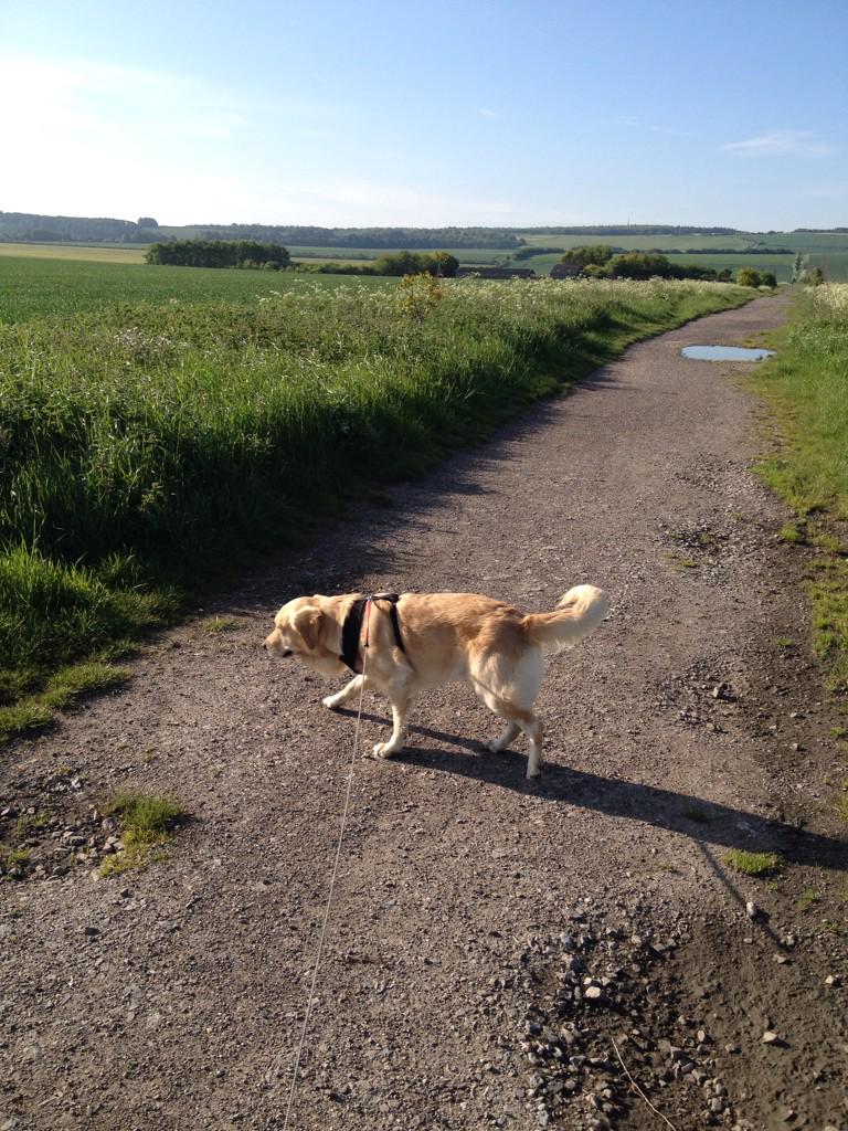 Millerparker01's tweet photo. Early morning walk http://t.co/ih5s30ymyN