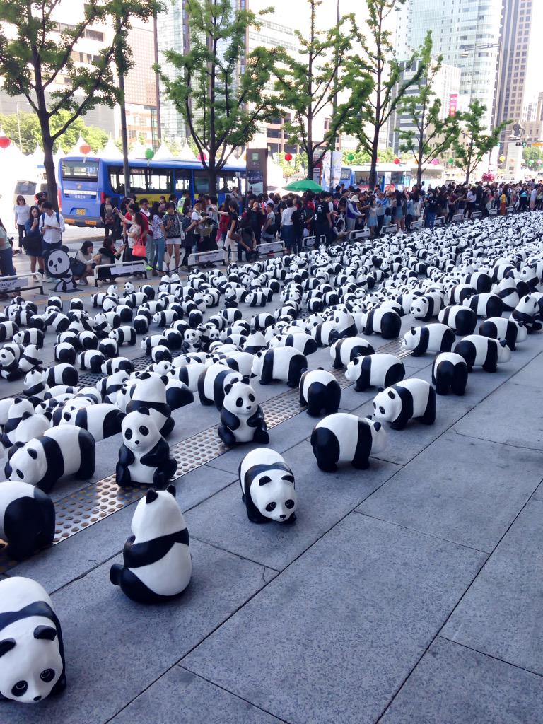 Bucket list memories! If you haven't heard of the amazing #1600pandasworldtour yet, you're missing out.