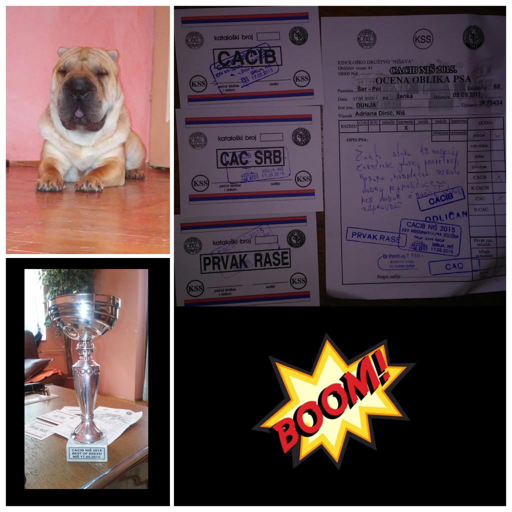Adri_bejbe's tweet photo. #Mybaby-feelingproud http://t.co/Fis83M6Cto