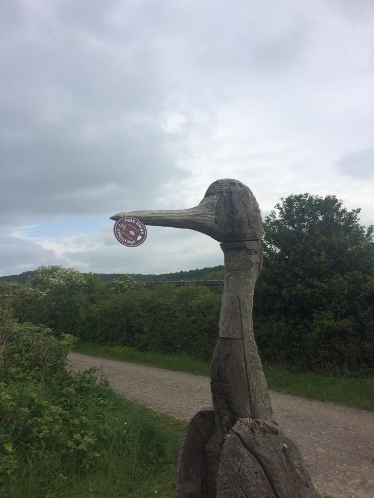 Even the birds are at it 
<a href="/spinupinbrewery/">Spinupinbrewery</a> #beertokens #spinup