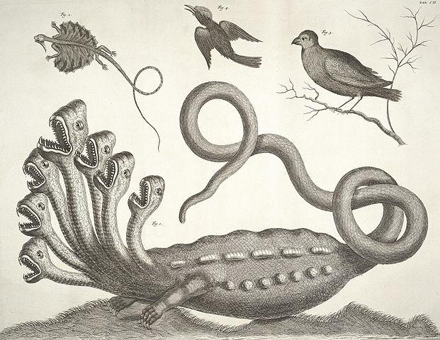 Libroantiguo tweet picture
