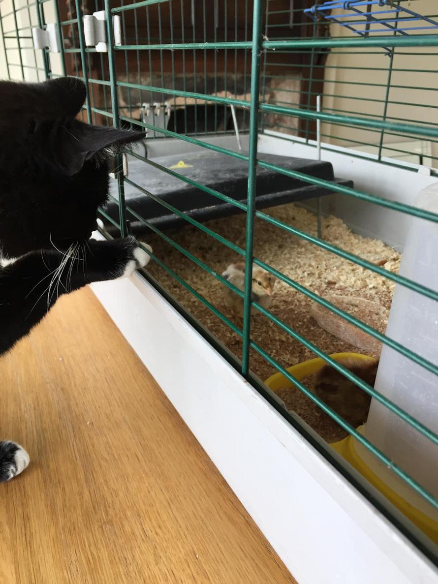 Louise Sheldon tweet media