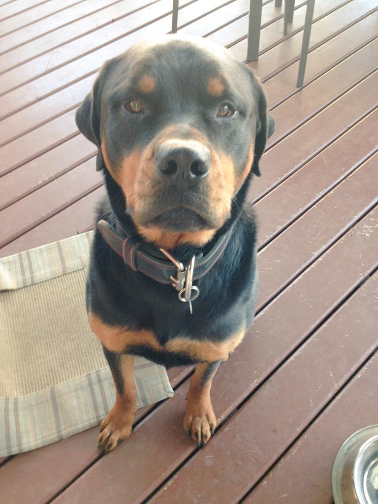 JessicaMacquart's tweet image. Le bébé à Matante Jess ♡