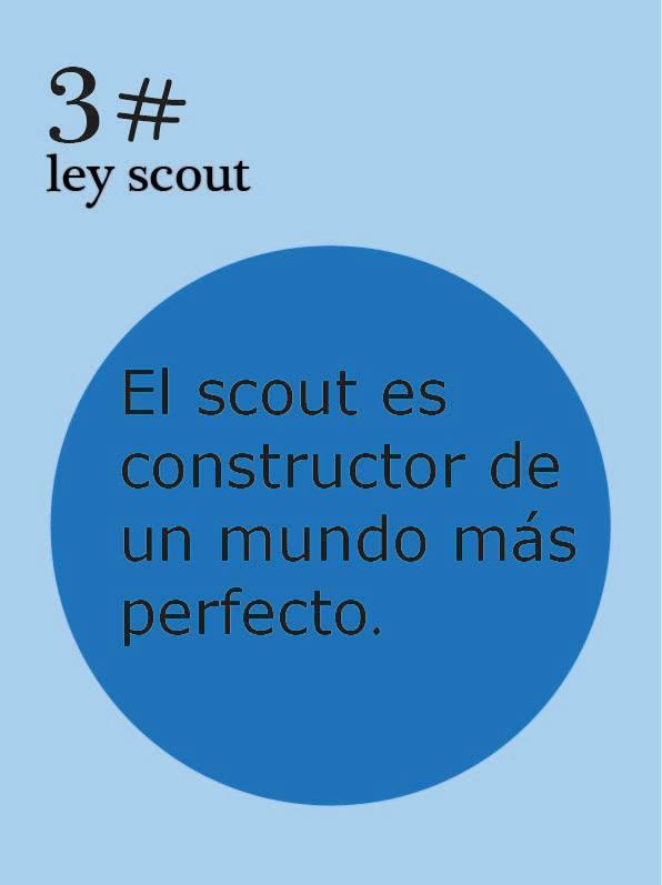 Grupo Scout Nyeri tweet media