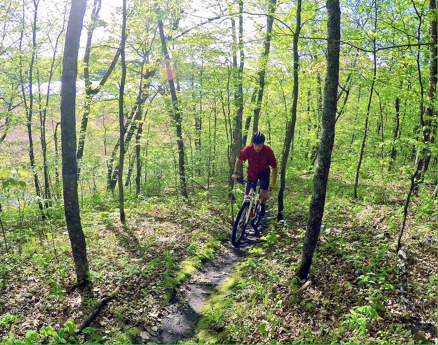 racemaplelagmtb's tweet photo. Flag waver Paul Schommer checking out the @laddiesloppet course this morning. http://t.co/MEOvlBzqc6
