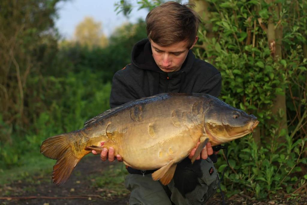 MAD Baits tweet media