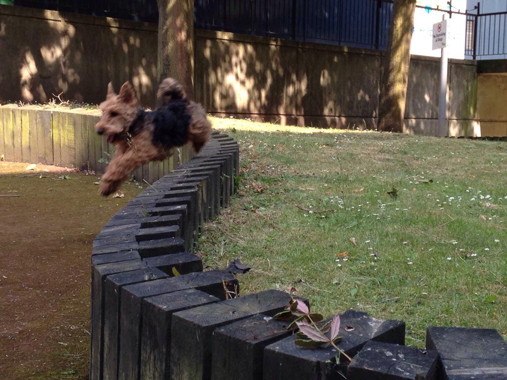 LottieTheWelsh's tweet photo. Happiness. http://t.co/sXyjuCJ1Se
