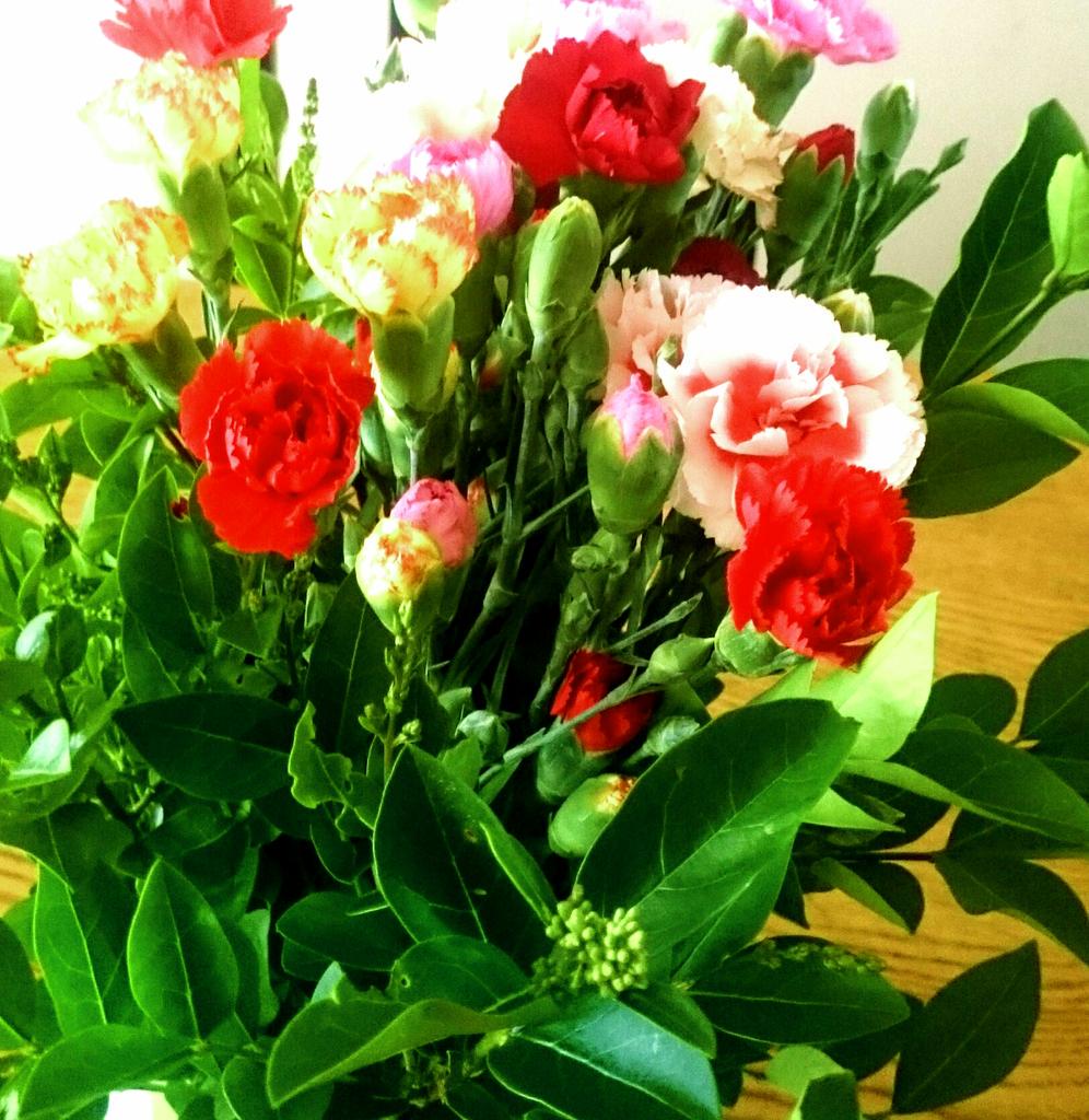ciufferia's tweet photo. Bonne Anniversaire Amour 😘 🎂 http://t.co/b5iPcUUMG9