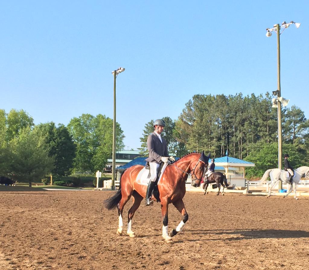 Off The Record warming up for dsg this morning at #VHT.  Thx to Jess &amp; Lizz for turning the horses out beautifully!
