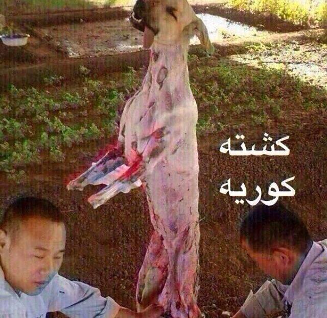 2lnaifah's tweet photo. http://t.co/tHSBsnwFt4
