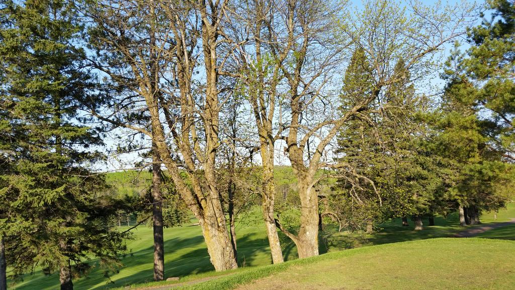 28CJohnson's tweet photo. #picaday43 golf season at RCC, packed house yesterday, and a beauty ahead today! #safetravels this Holiday weekend! http://t.co/zL7uvAxSNI
