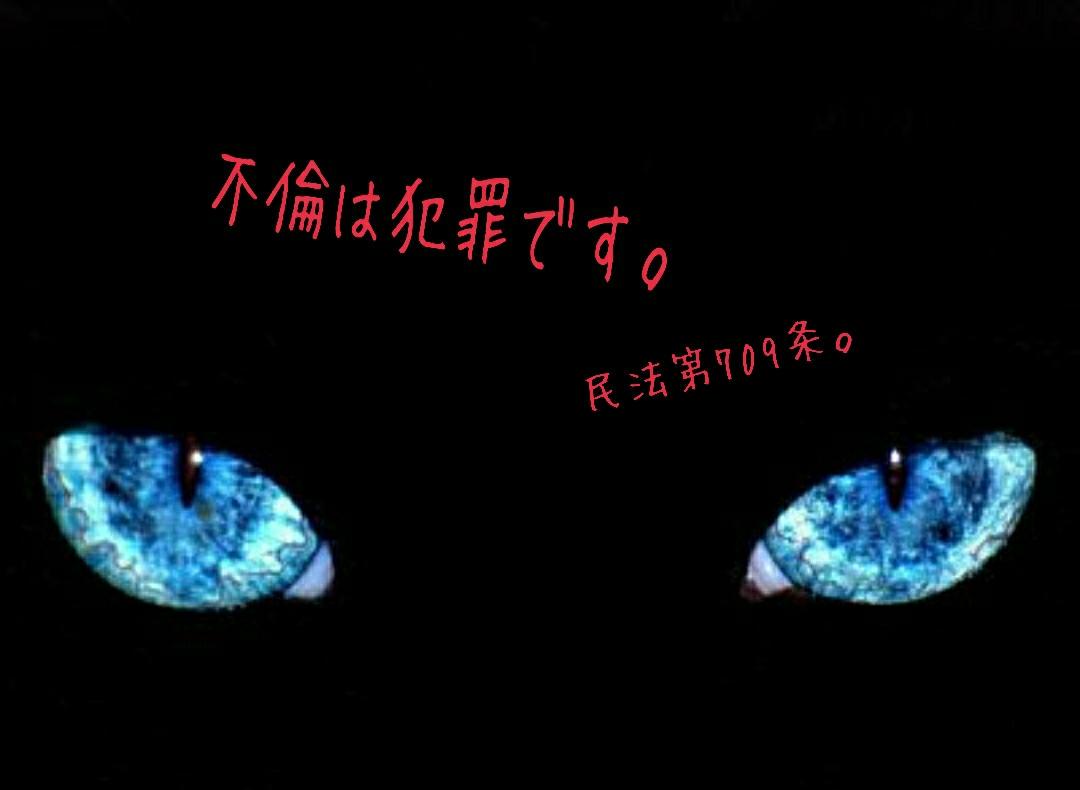 さ 不倫は犯罪です 歌詞画 初めて作りました W ミオヤマザキ 民法第709条 Http T Co Gy5dxe50ru
