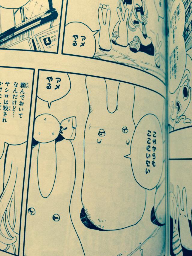 小動物めんこい 