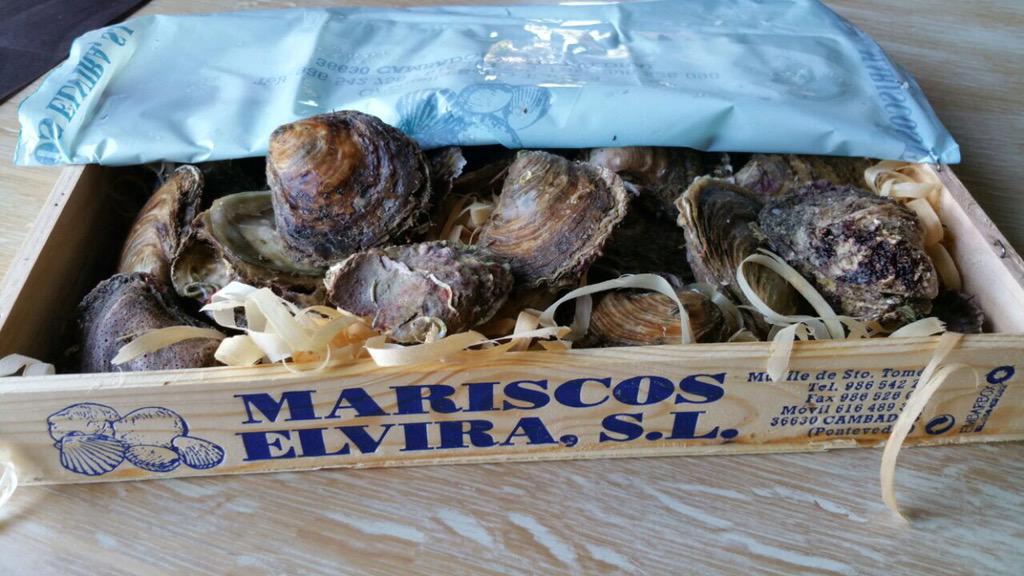 Tenemos un nuevo amigo en Os Cachivaches... #Ostras