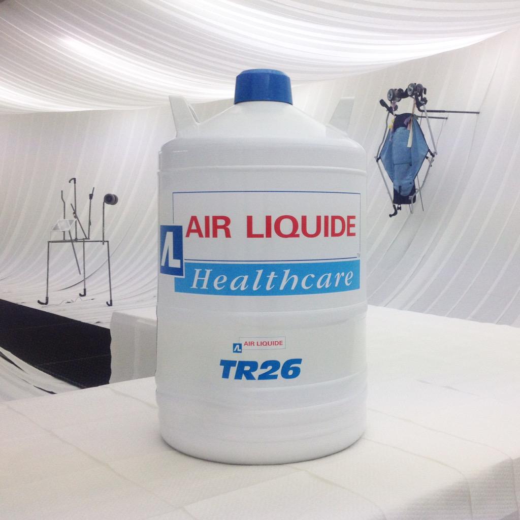 Transformella tweet media