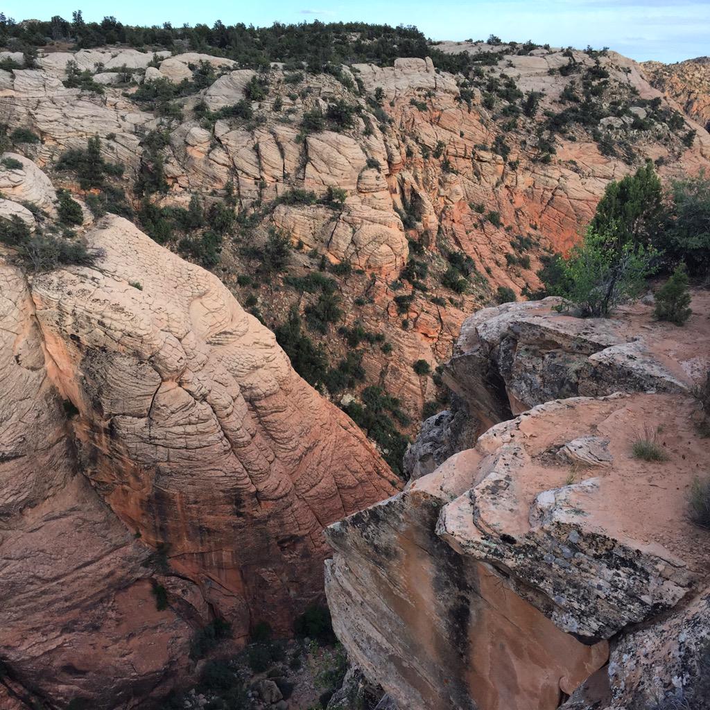 AllTerrainPics's tweet photo. Wheeling the Pine Valley Mts in Southern Utah. #offroad #outdoors #Jeep #adventure #explore #Utah http://t.co/QICo1GJPxx