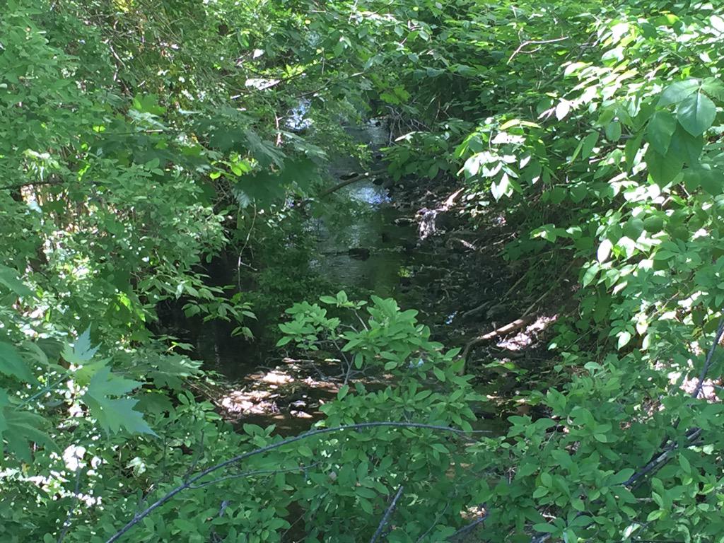 TTFWatershed's tweet photo. Tweet us your weekend photos from #TaconyCreekPark &amp; the TTF watershed! Here's the creek in Abington! @AbingtonTrees http://t.co/vRFgVYp17E