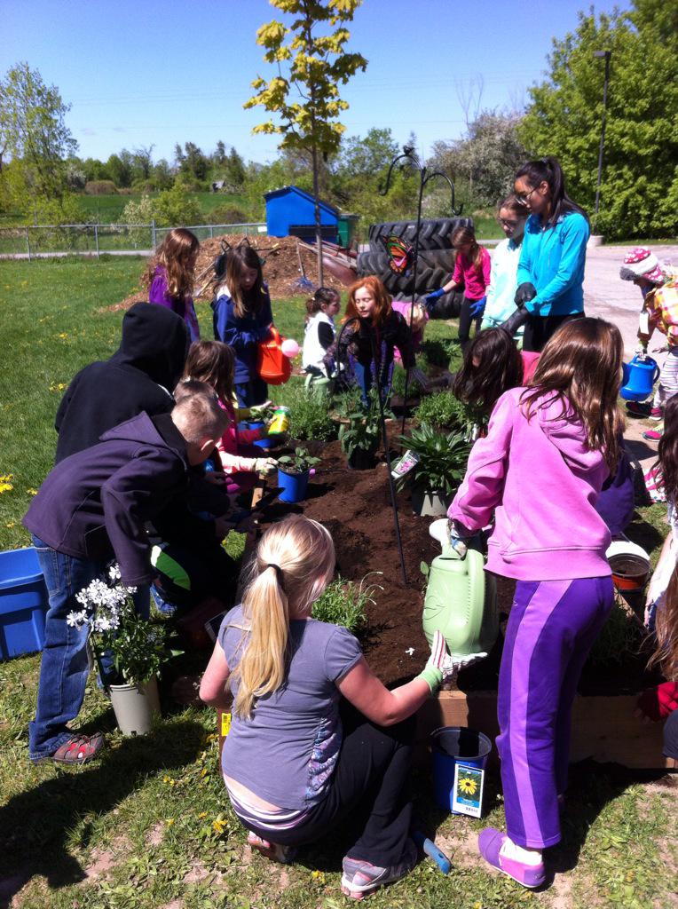 Jmarriott333's tweet photo. Our butterfly garden is shaping up nicely!  Great teamwork Green Team!  @UptergrovePS http://t.co/wn0f4lGxPs