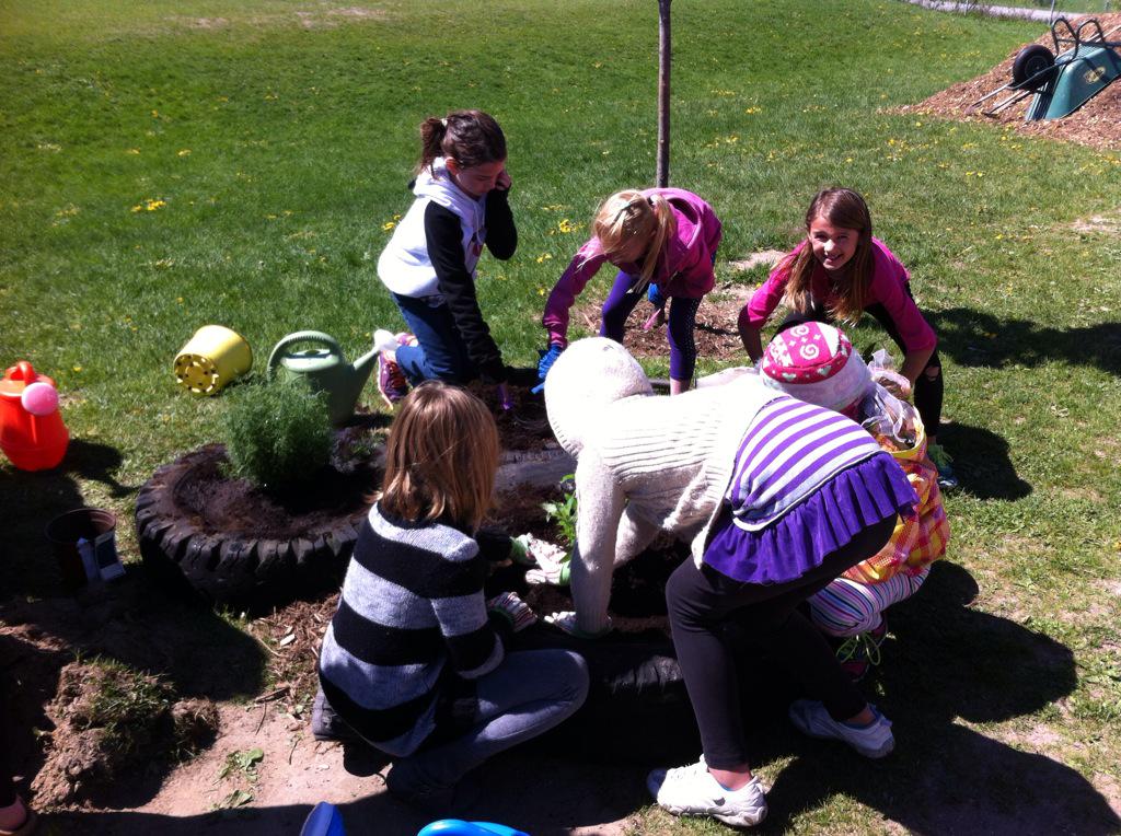 Jmarriott333's tweet photo. Our butterfly garden is shaping up nicely!  Great teamwork Green Team!  @UptergrovePS http://t.co/wn0f4lGxPs