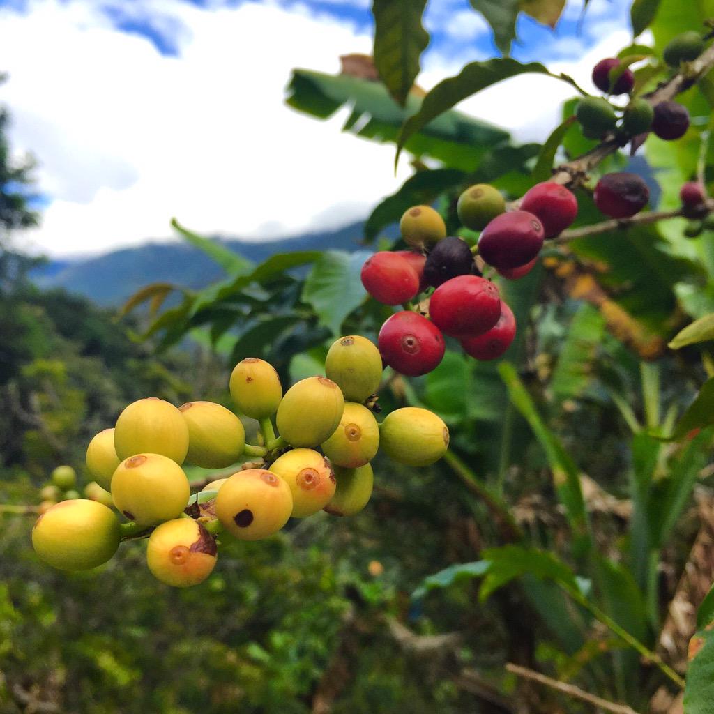 ParkerWaters's tweet photo. Enjoying #Peru this morning. #ngadventures http://t.co/PbFf3CQjVO