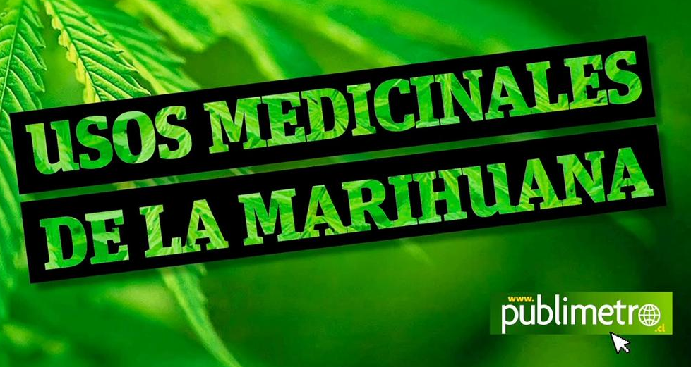 PublimetroChile's tweet photo. Video Infografía: conoce cinco usos medicinales de la marihuana http://t.co/a1HB1c61e9 http://t.co/15c223qN6u