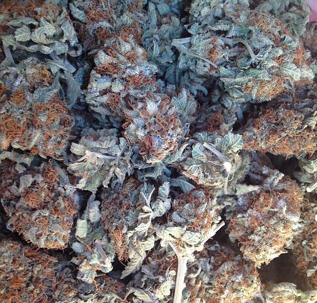 AllWeedPics's tweet photo. I love weed! 🙌❤️💨 http://t.co/A3VOQAtgFP
