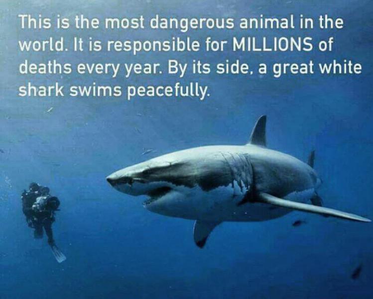 ConspiringWorld tweet picture
