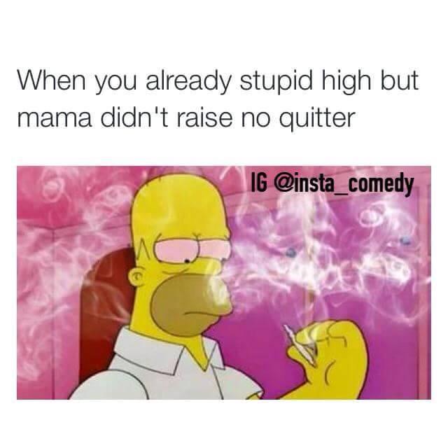 AllWeedPics's tweet photo. Mama raised no quitter! 🙌💨 http://t.co/mYaq8Pt8ck