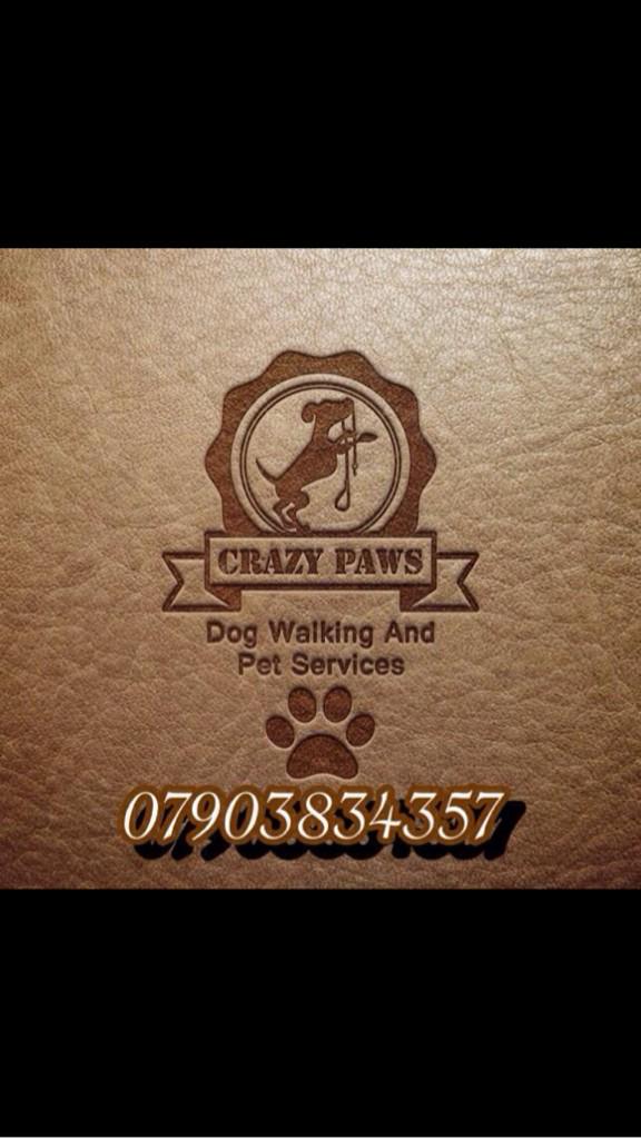 Crazypaws88's tweet photo. Located in #sheffield and looking for a trust worthy , reliable dog walking service why not give us a call or txt http://t.co/G5nVgtDtL5