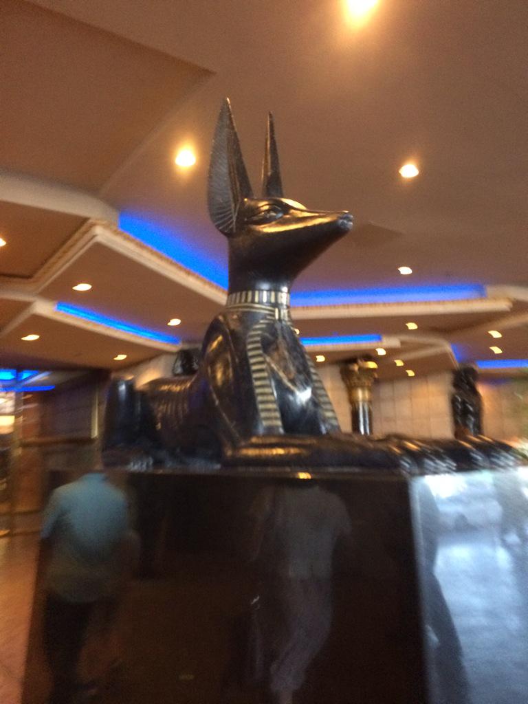 Vivienwhatever's tweet image. I woke up reliving we're still in la and in a hotel lol :) good morning hope you have a wonderful day &amp;lt;3