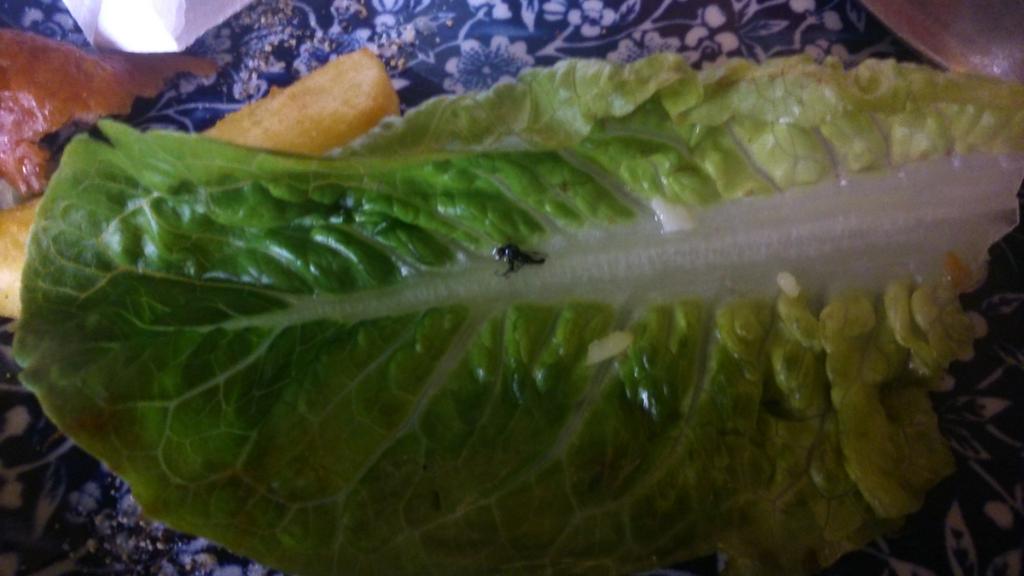 PeterWhight's tweet photo. @jdwtweet @theslugsa Shouldve gone to slug and lettuce #wetherspoons #bushtuckertrial #flyandlettuce http://t.co/yv92sPlyAT