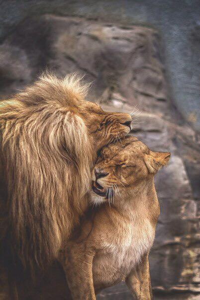 postbadcutee's tweet photo. Un roi aura toujours besoin de sa reine 👑 http://t.co/Oe40Qko2Pt