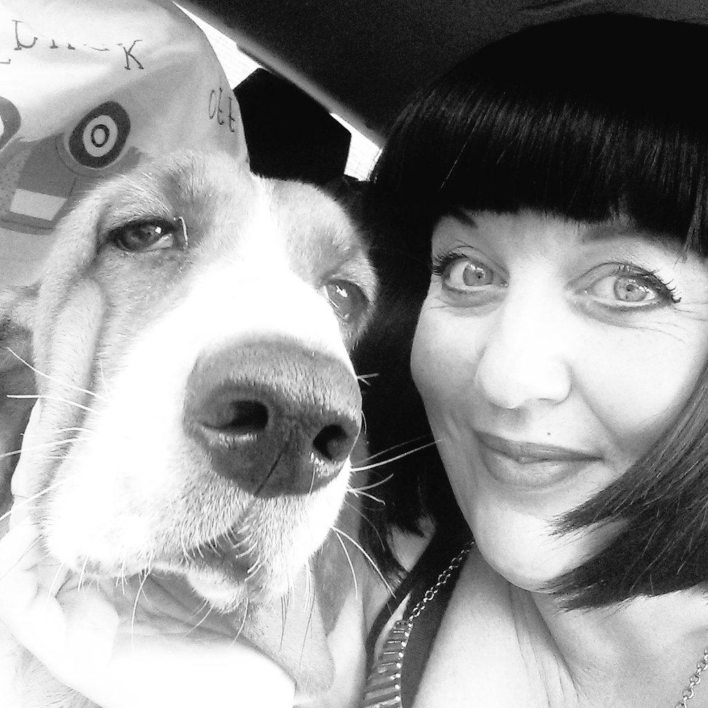 lynseylou1973's tweet image. #bassethound #selftake #lovemybasset
