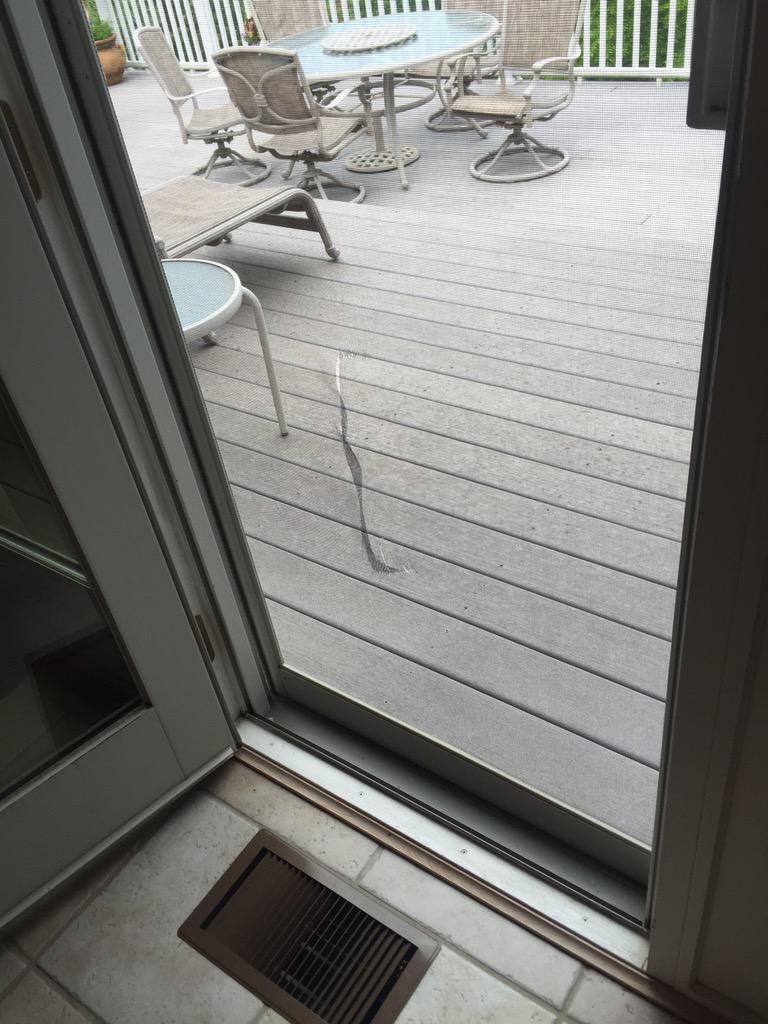 TotalGMve's tweet photo. Breaking the screen door at the lake #TGM http://t.co/AYOYfHxWck