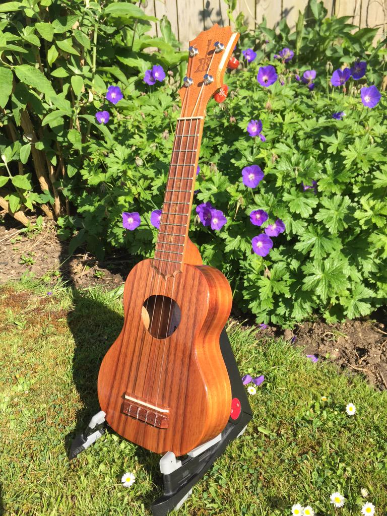npaulroberts's tweet photo. Koaloha au naturel #ukeporn http://t.co/1gH9IcZpdJ