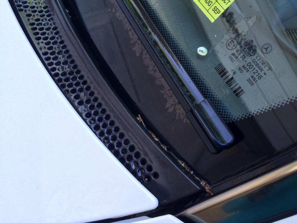 PinPointNow's tweet photo. Forgot where you parked your car? No worries, PinPoint has your back http://t.co/muGhm9j78W