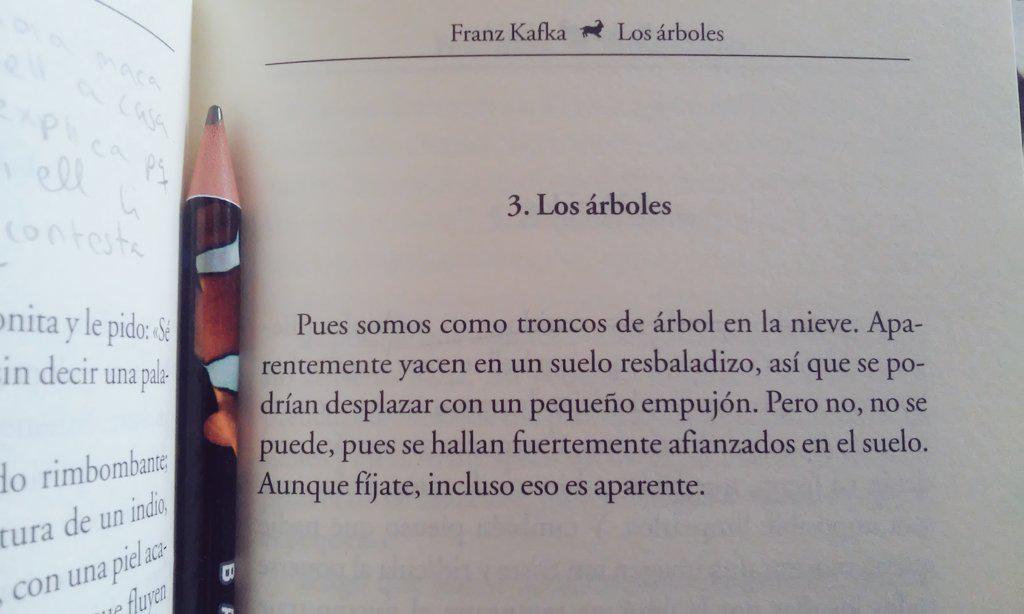 its_endius's tweet photo. Troncos de árbol en la nieve #Kafka #cuentos http://t.co/F5qTQda0ea