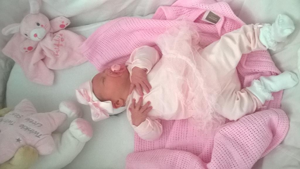 LeaneWignall's tweet photo. My little sienna🎇 http://t.co/krXsnyzZaI