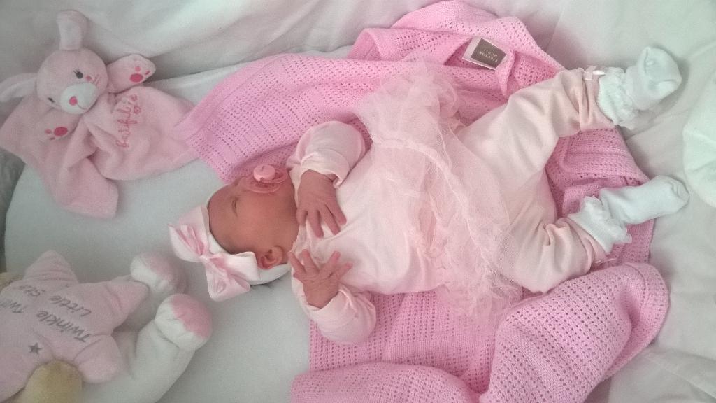 LeaneWignall's tweet photo. My little sienna🎇 http://t.co/krXsnyzZaI