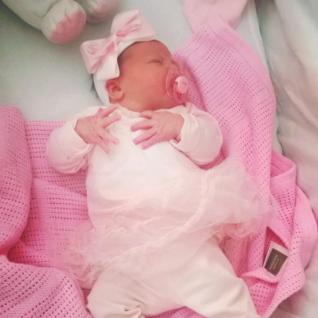 LeaneWignall's tweet photo. My little sienna🎇 http://t.co/krXsnyzZaI