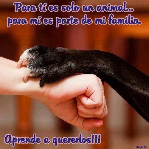 unboxer_tuitero's tweet photo. Que hermosa imagen encontré !!! #FelizSabado #NadaMejorQue más humanos piensen así 😄😄😄 http://t.co/vbKOOG0toa