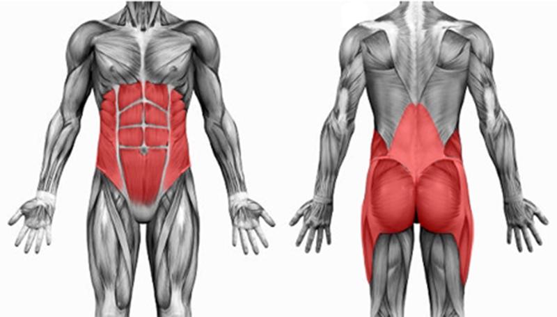 NSCA's tweet photo. Stability, #injuryprevention, enhanced performance: Why We Need #CoreTraining @drstuartmcgill http://t.co/y9hQLwSm7J http://t.co/sPUJ7IA66z