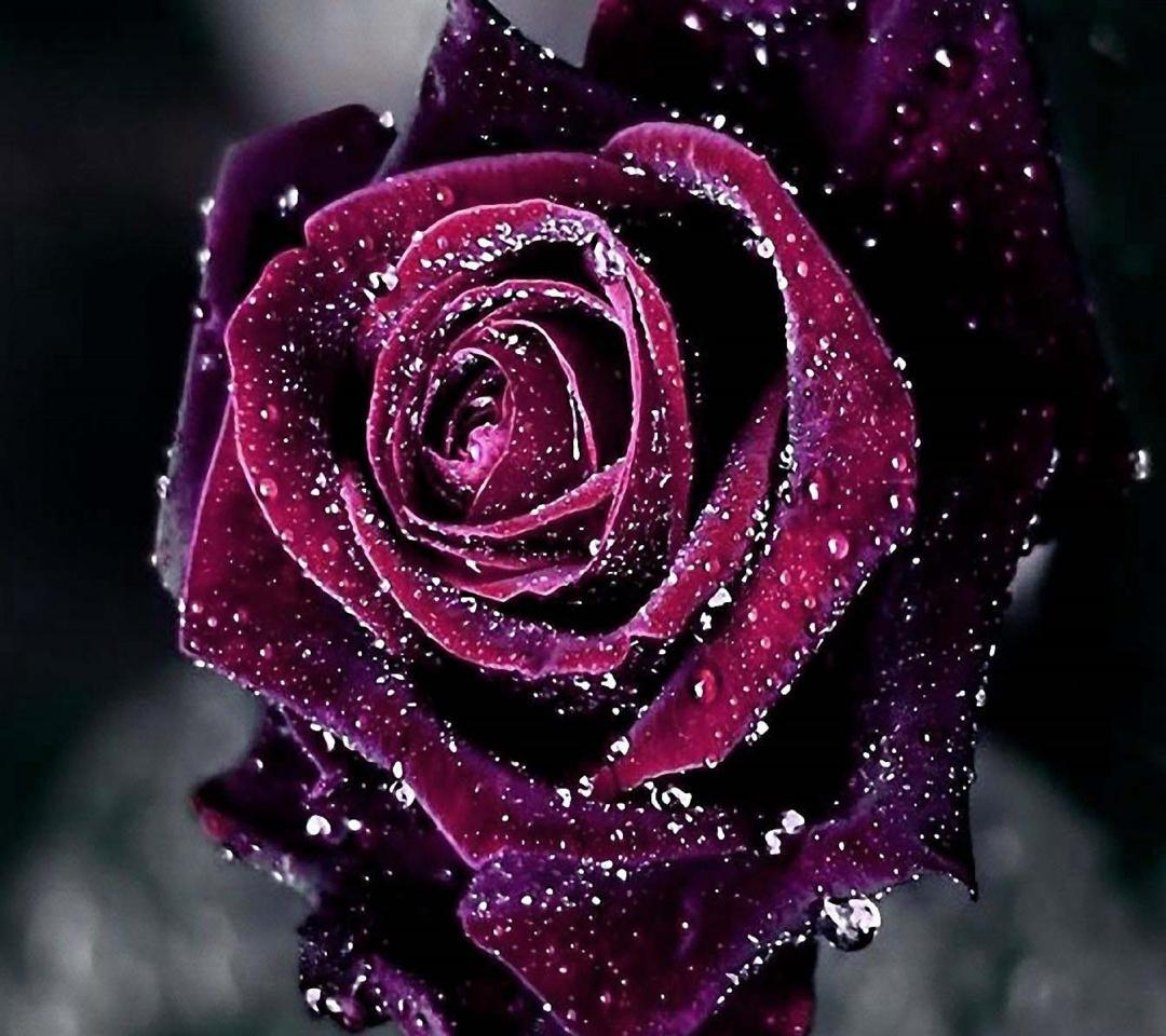 25a74cdc688340b's tweet photo. http://t.co/pr245dDQpP